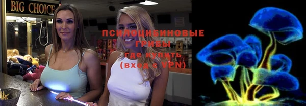 соль ск Алексин