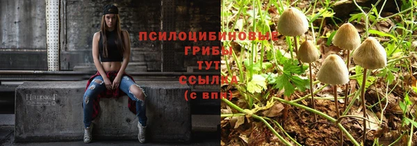 героин Абаза